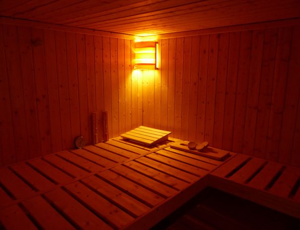 Ostsee Ferienhaus Saune